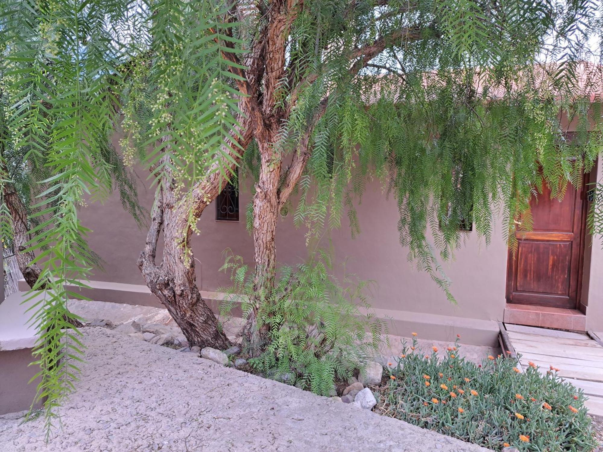 Casa En Tilcara Con Hermosa Vista Al Pucara Exterior photo